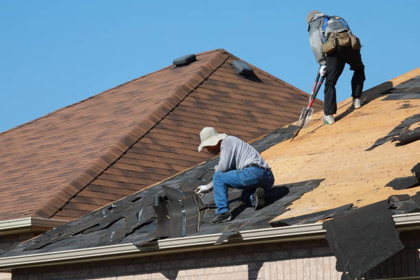 Best Gutter Installation and Repair  in Romulus, MI