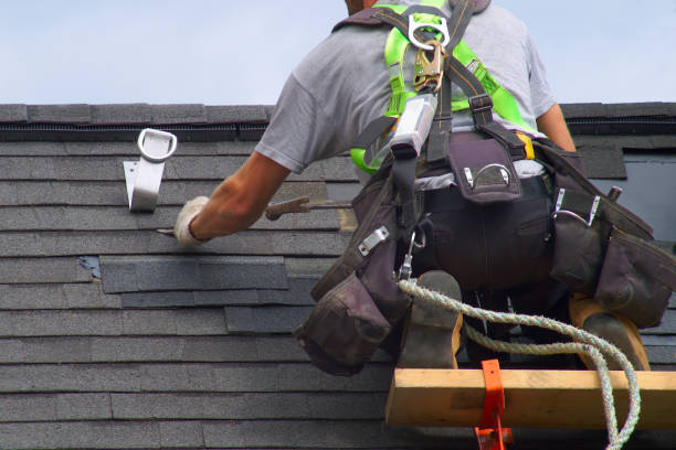 Best Asphalt Shingle Roofing  in Romulus, MI