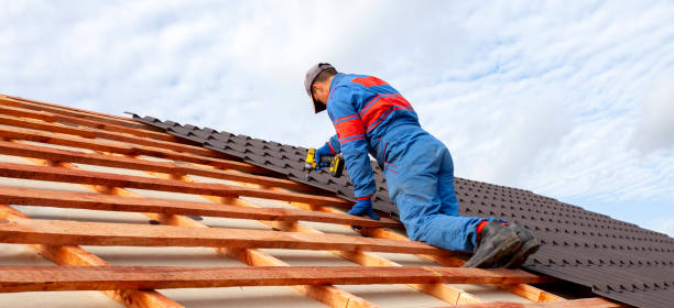 Best Chimney Flashing Repair  in Romulus, MI