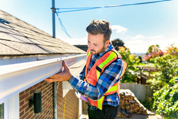 Best Storm Damage Roof Repair  in Romulus, MI