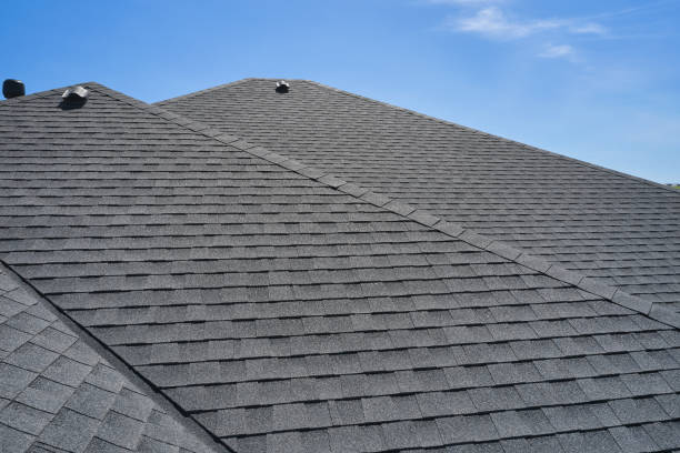 Best Roof Leak Repair  in Romulus, MI