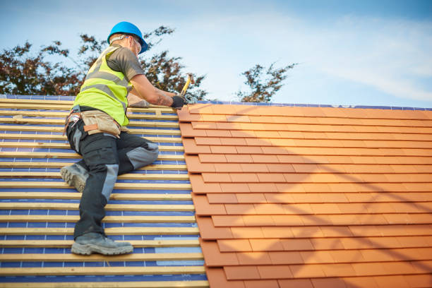 Best Roof Leak Repair  in Romulus, MI